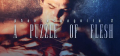 Phantasmagoria 2: A Puzzle of Flesh Phantasmagoria 2: A Puzzle of Flesh Logo